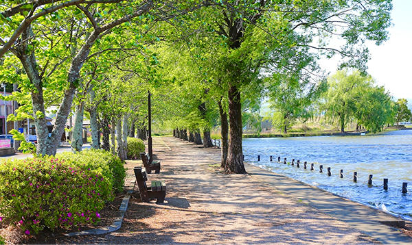 쾌적한 청정 힐링라이프
